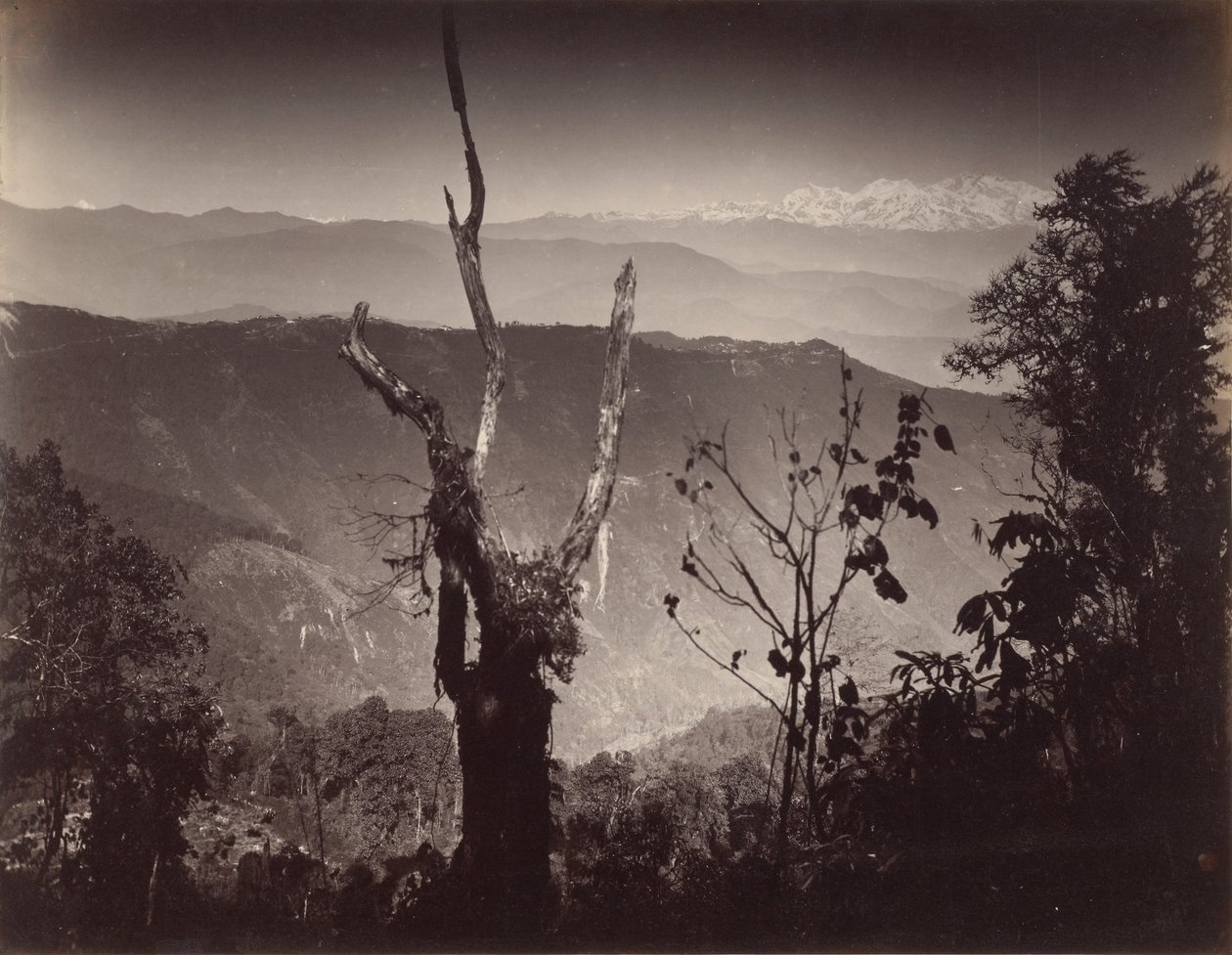 Blick vom Senchal von Samuel Bourne