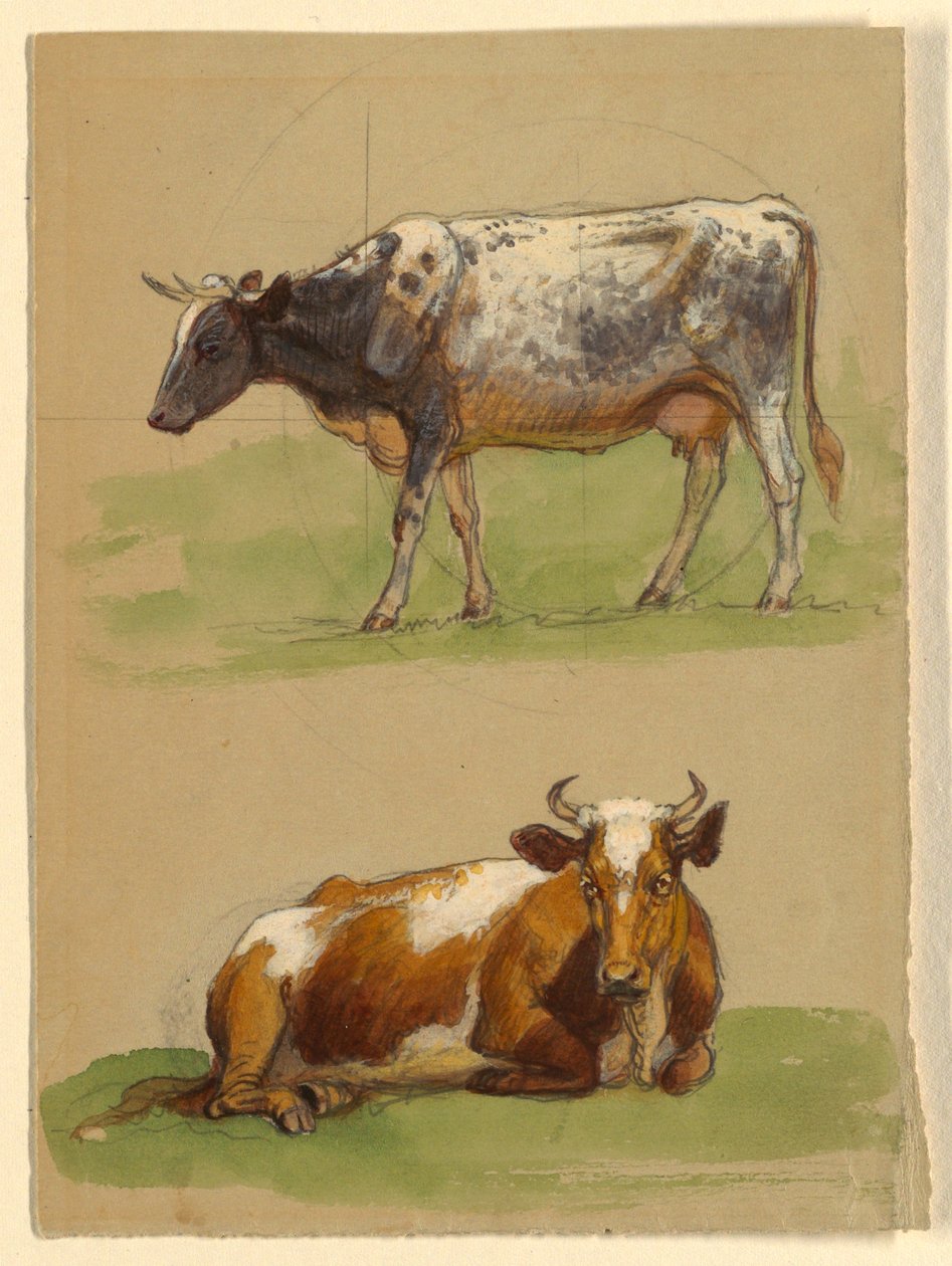 Vieh, eine gehende Kuh und eine kauernde Kuh von Samuel Colman