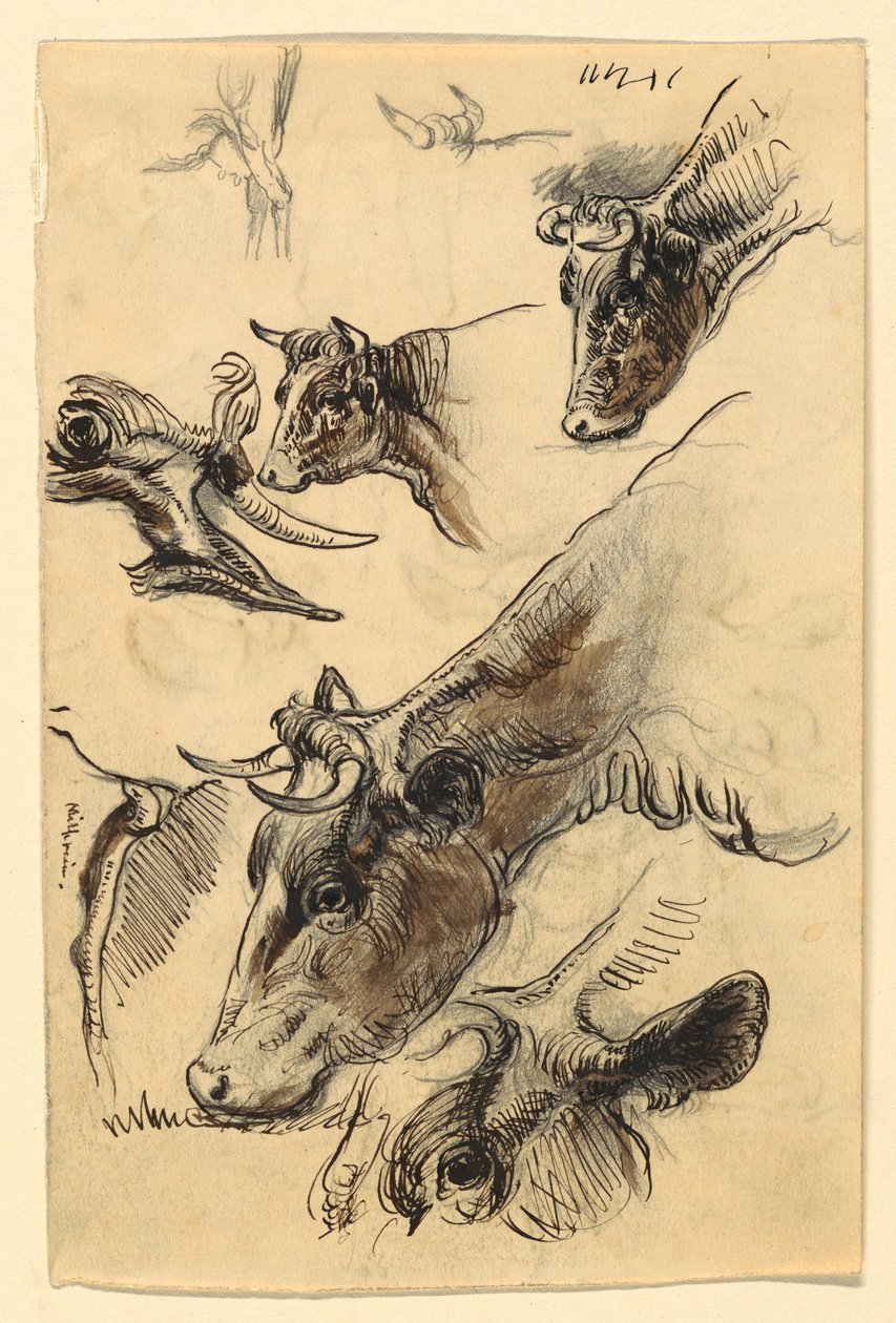 Zeichnung, Skizzen. Vieh, Irvington, September 1876 von Samuel Colman