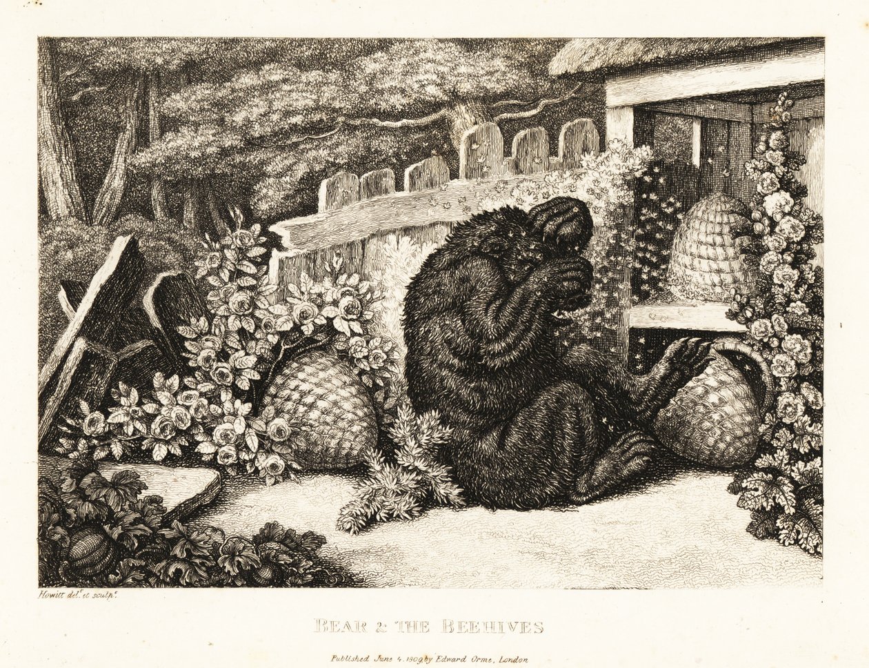 Ein Braunbär wird von einem Heer von Bienen angegriffen. 1811 von Samuel Howitt