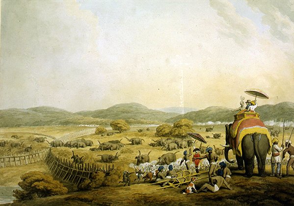 Elefanten in ein Keddah treiben (Aquarell auf Papier) von Samuel Howitt