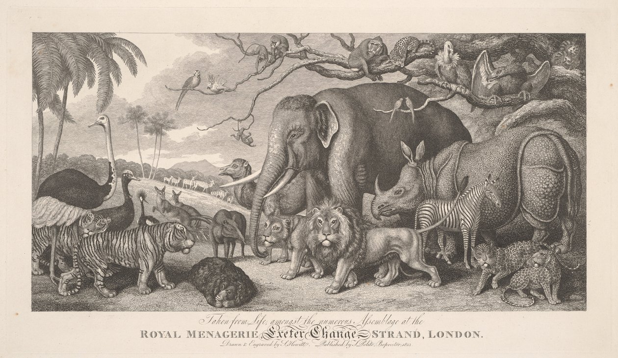 Aus dem Leben gegriffen, unter der zahlreichen Versammlung im Königlichen Menagerie, Exeter Exchange, Strand, London von Samuel Howitt