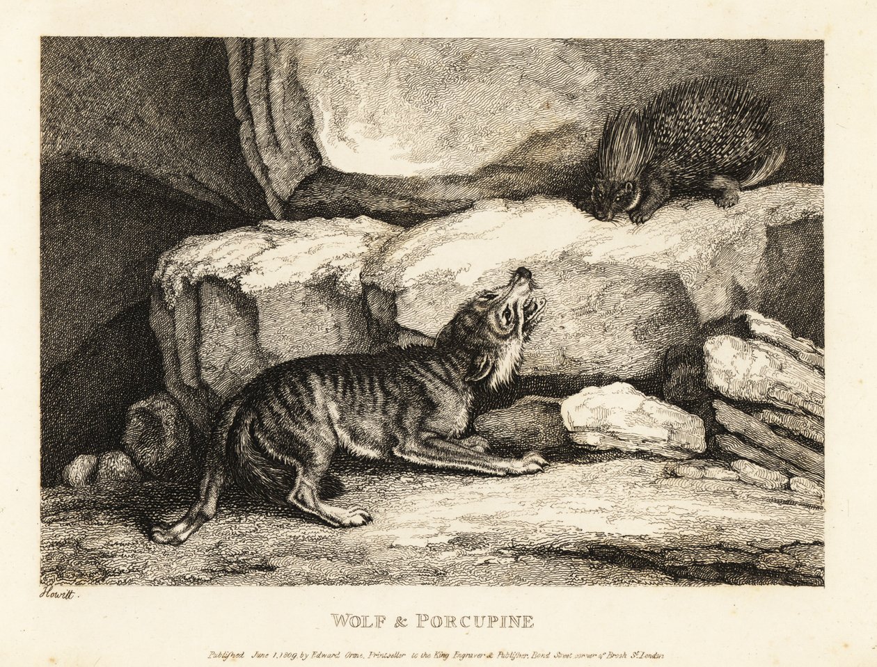 Der Wolf und das Stachelschwein von Roger L