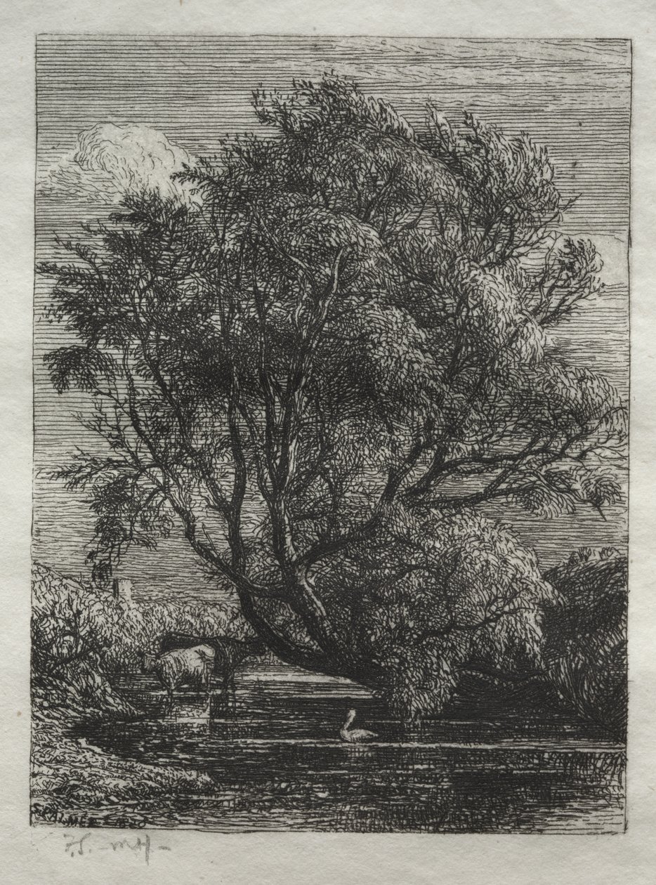 Die Weide von Samuel Palmer