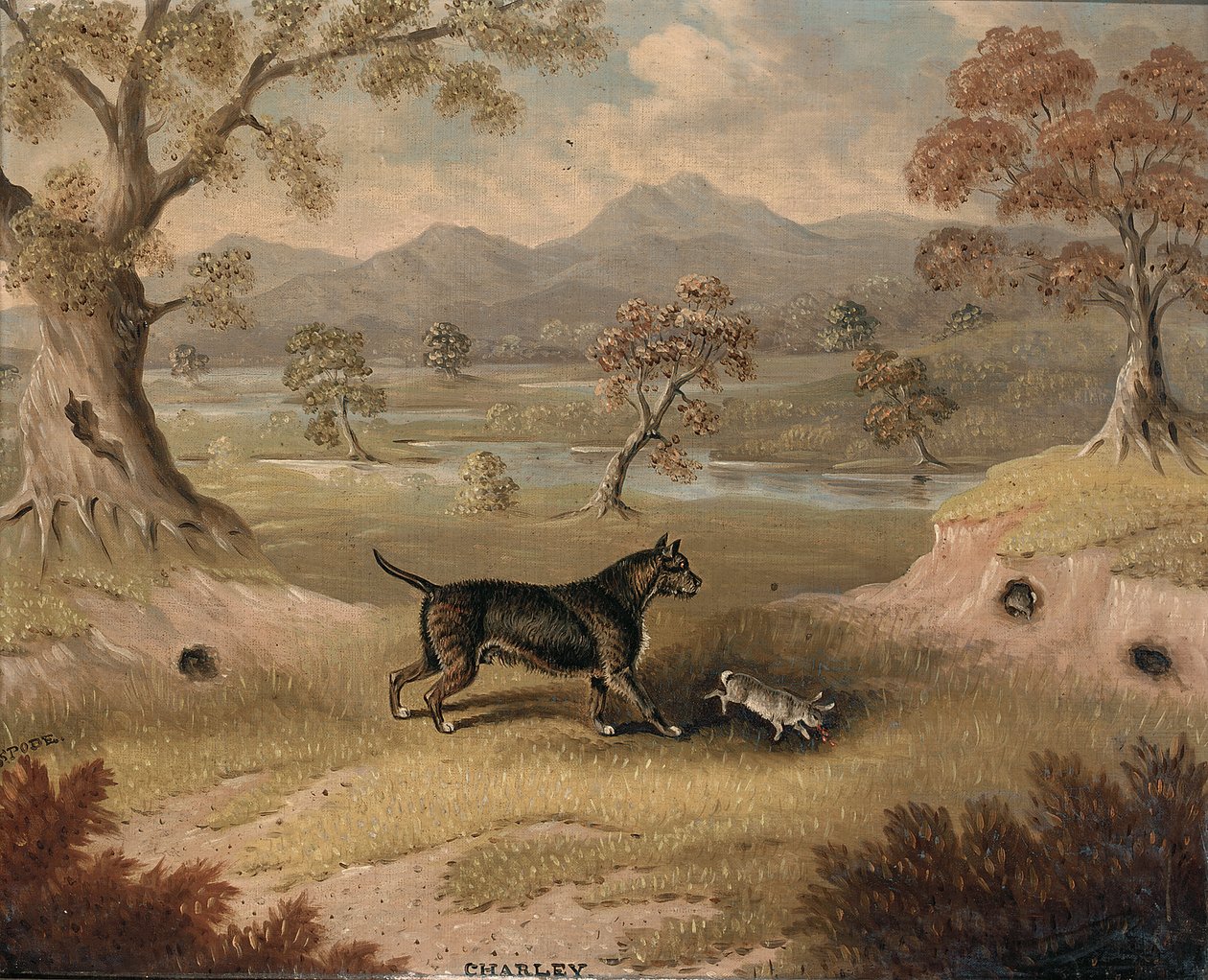 Charley, ein Terrier mit einem Kaninchen von Samuel Spode