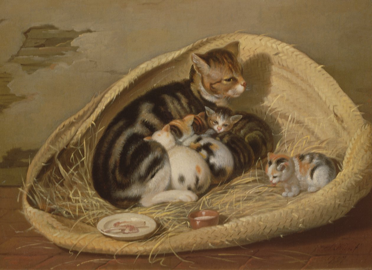 Katze mit ihren Kätzchen in einem Korb, 1797 von Samuel de Wilde