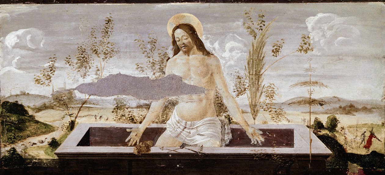 Pieta (Detail) von Sandro Botticelli