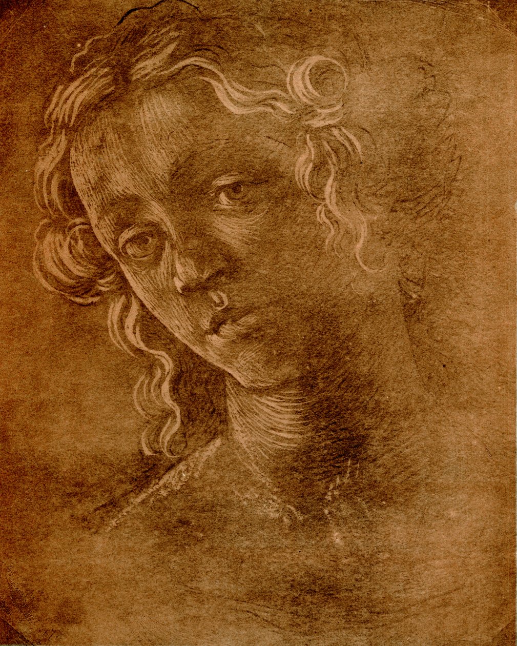 Weiblicher Kopf von Sandro Botticelli