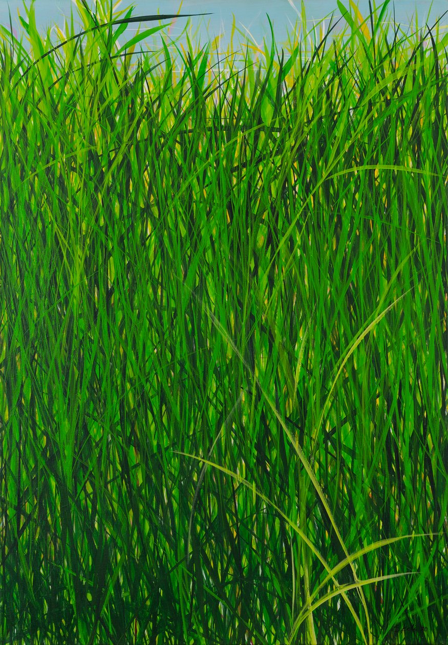 Sommergras, 2020 von Sandy Iseli