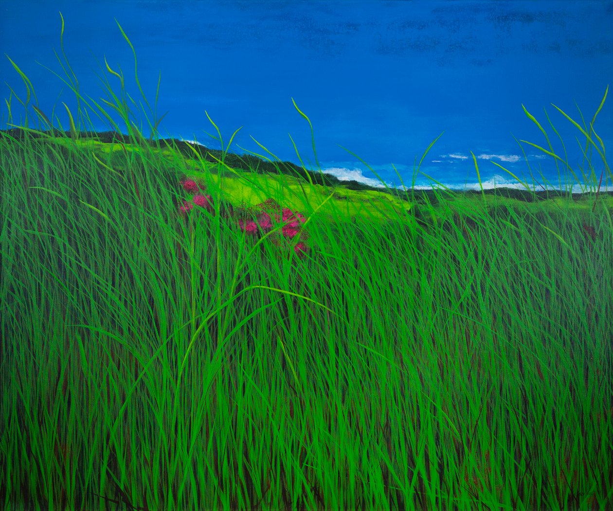Die Kraft der Blumen von Sandy Iseli