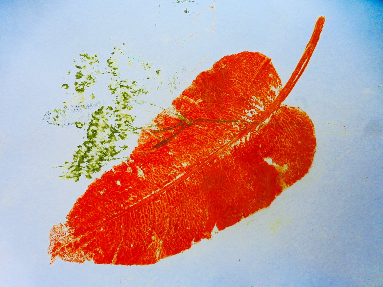 Orangenes Blatt von Sarah Thompson-Engels