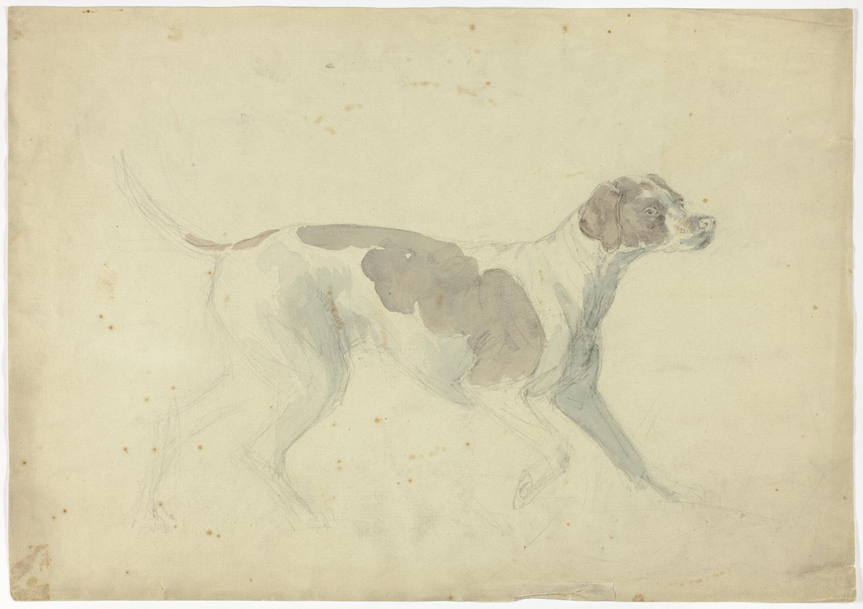Fuchshund (recto); Skizzen von Pferd und Reiter (verso) von Sawrey Gilpin