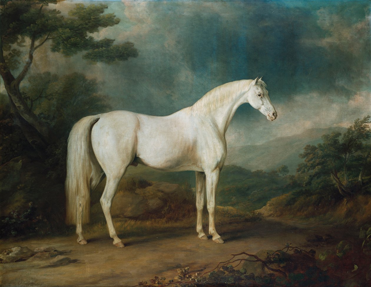 Weißes Pferd in einer bewaldeten Landschaft, 1791 von Sawrey Gilpin