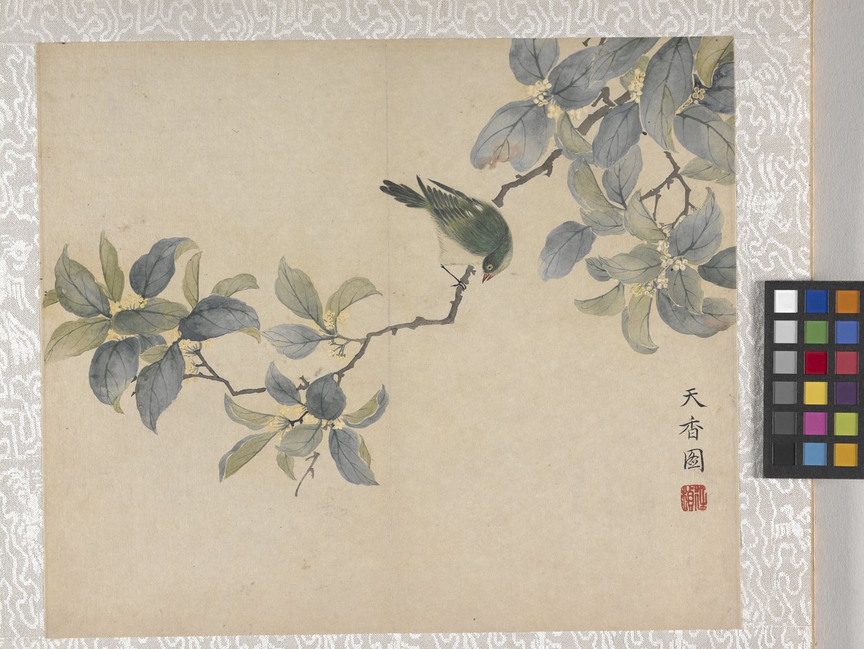 8-Blatt-Album von Blumen, Mitte 1700er von School Chinese