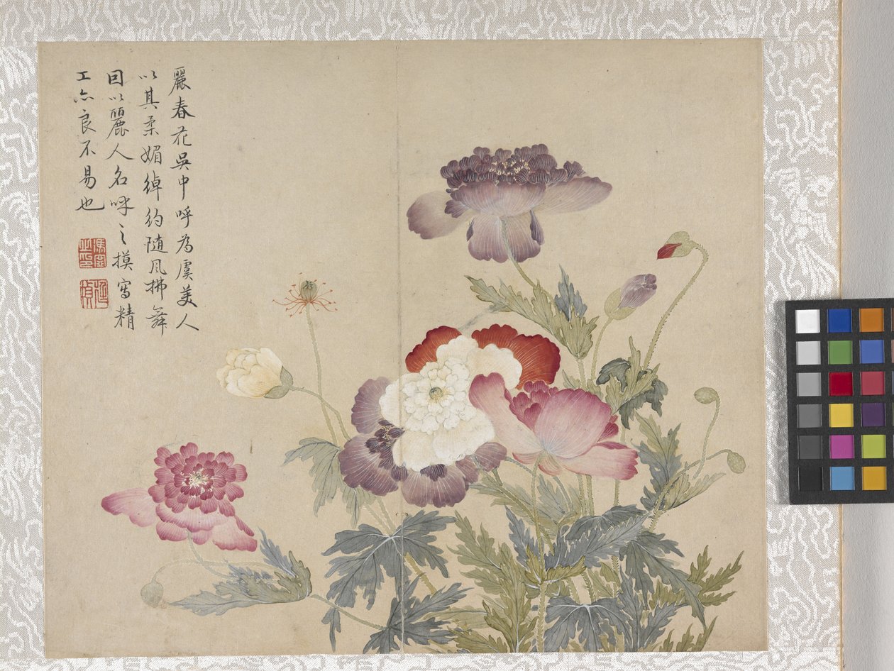 8-Blatt-Album von Blumen, Mitte 1700er von School Chinese