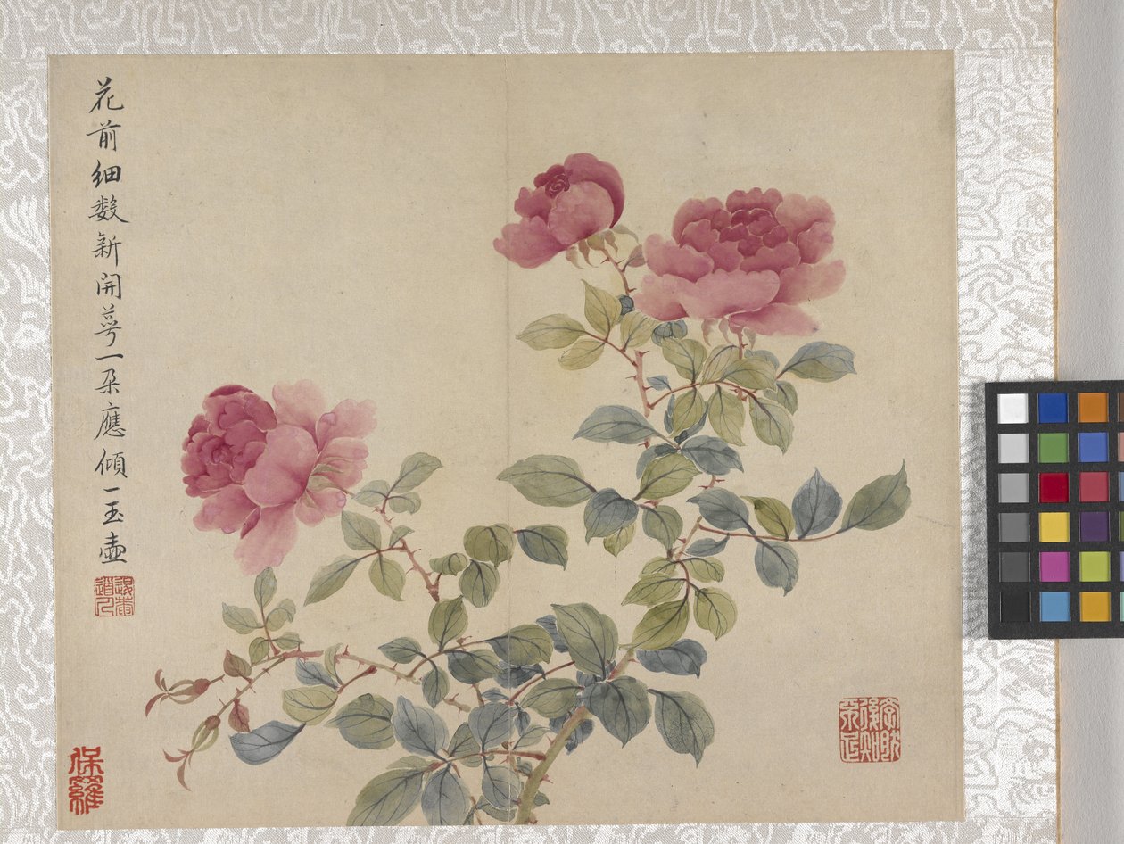 8-Blatt-Album von Blumen, Mitte 1700er von School Chinese