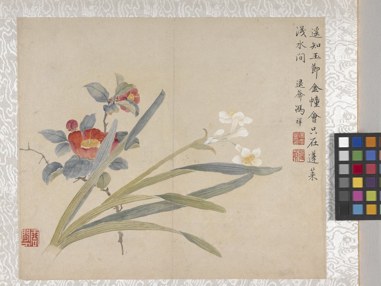 8-Blatt-Album der Blumen, Mitte 1700er Jahre von School Chinese