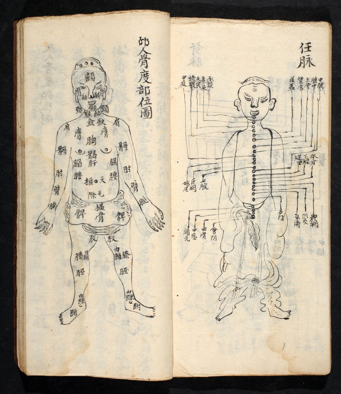 Akupunkturpunkte entlang der Mittellinie des Körpers, aus Jing Guan Qi Zhi, 