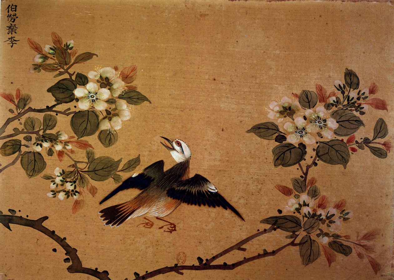 Chinesische Kunst: Vogel und Blumen. Seidenmalerei aus dem 16. Jahrhundert. Paris, B.N. von School Chinese