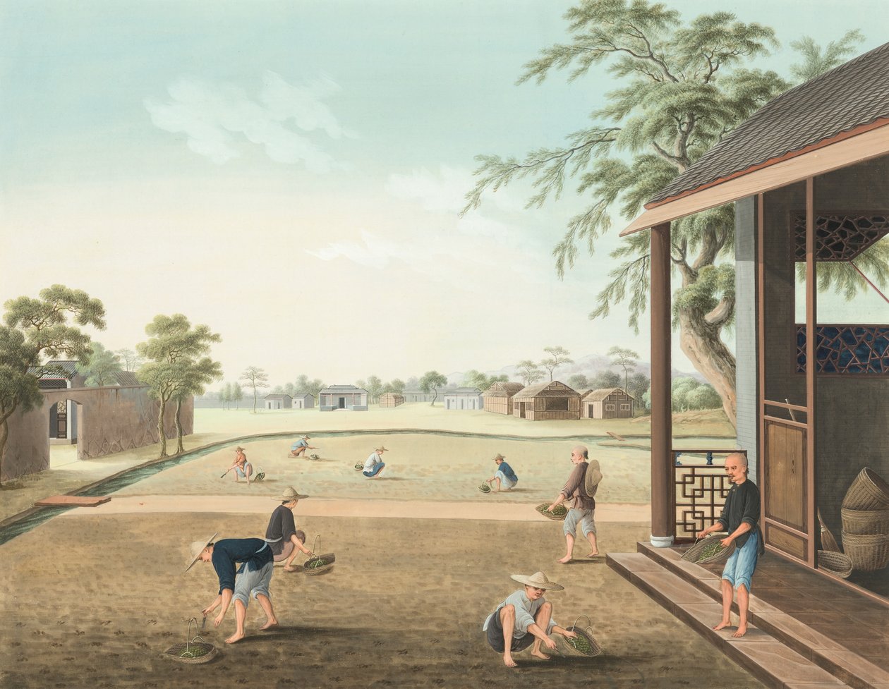 Teeproduktion, ca. 1820 von School Chinese