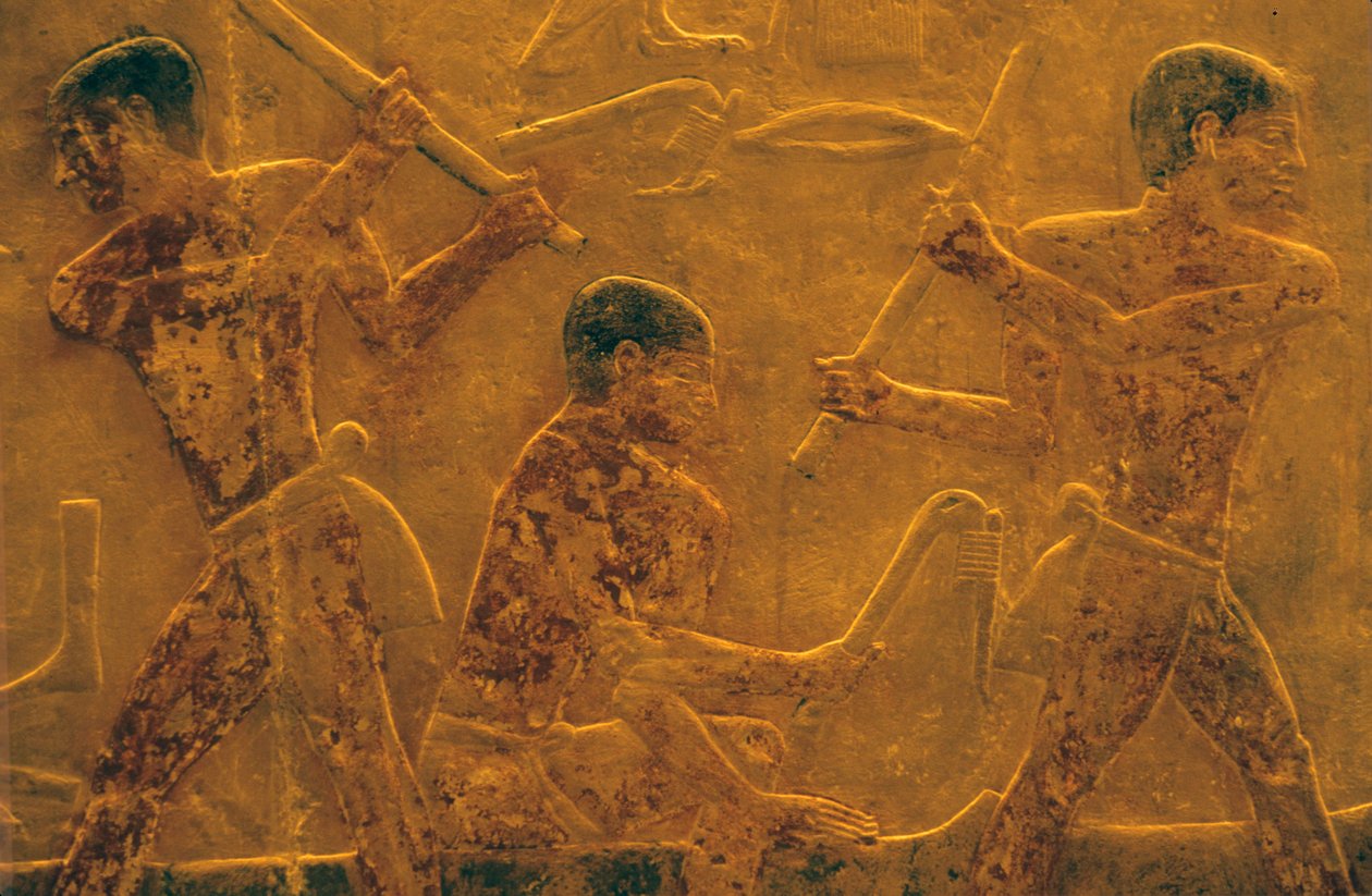 Altes Ägypten, Wandrelief, Mastaba/Grab von Ti, Saqqara, 5. Dynastie, Schiffbau von School Egyptian