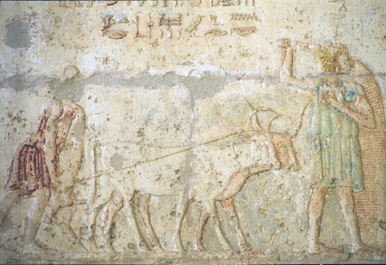 Altes Ägypten, Wandrelief, Grab von Petosiris, Tuna el-Gebel, 300 v. Chr., Pflügen und Säen von Feldfrüchten von School Egyptian