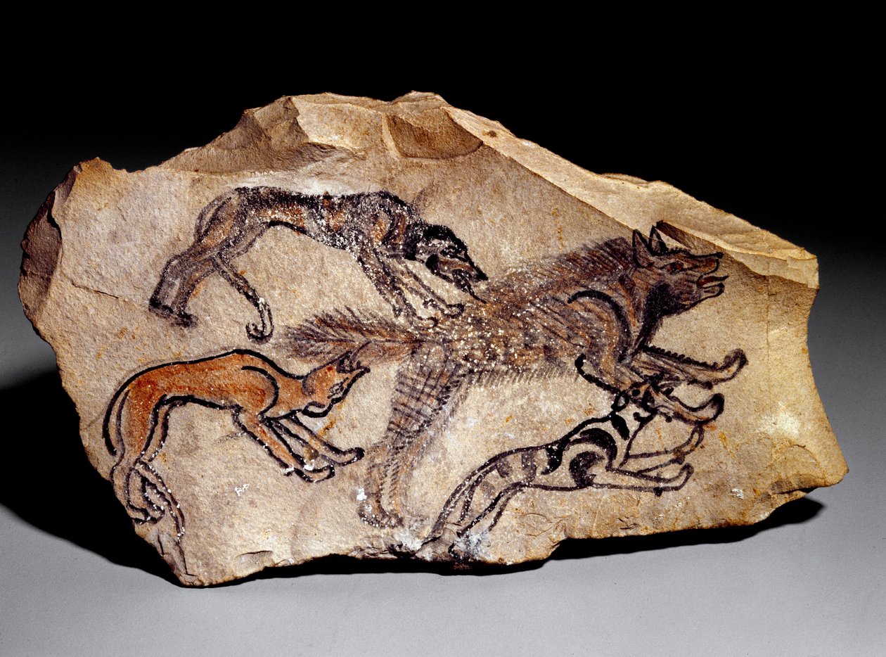 Hunde jagen Hyäne (Steingravur, ca. 1300-1100 v. Chr.) von School Egyptian