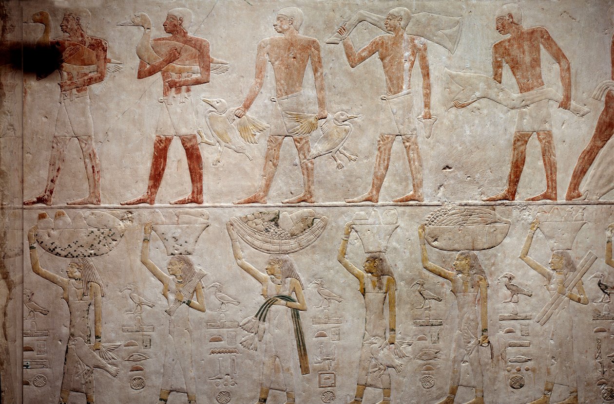 Ägyptische Antike: Männer tragen Enten. Kalksteinrelief aus der Kapelle der Mastaba von Akhethetep in Saqqara. 5. Dynastie (um 2500-2350 v. Chr.) 2300 v. Chr. Paris, Louvre Museum von School Egyptian