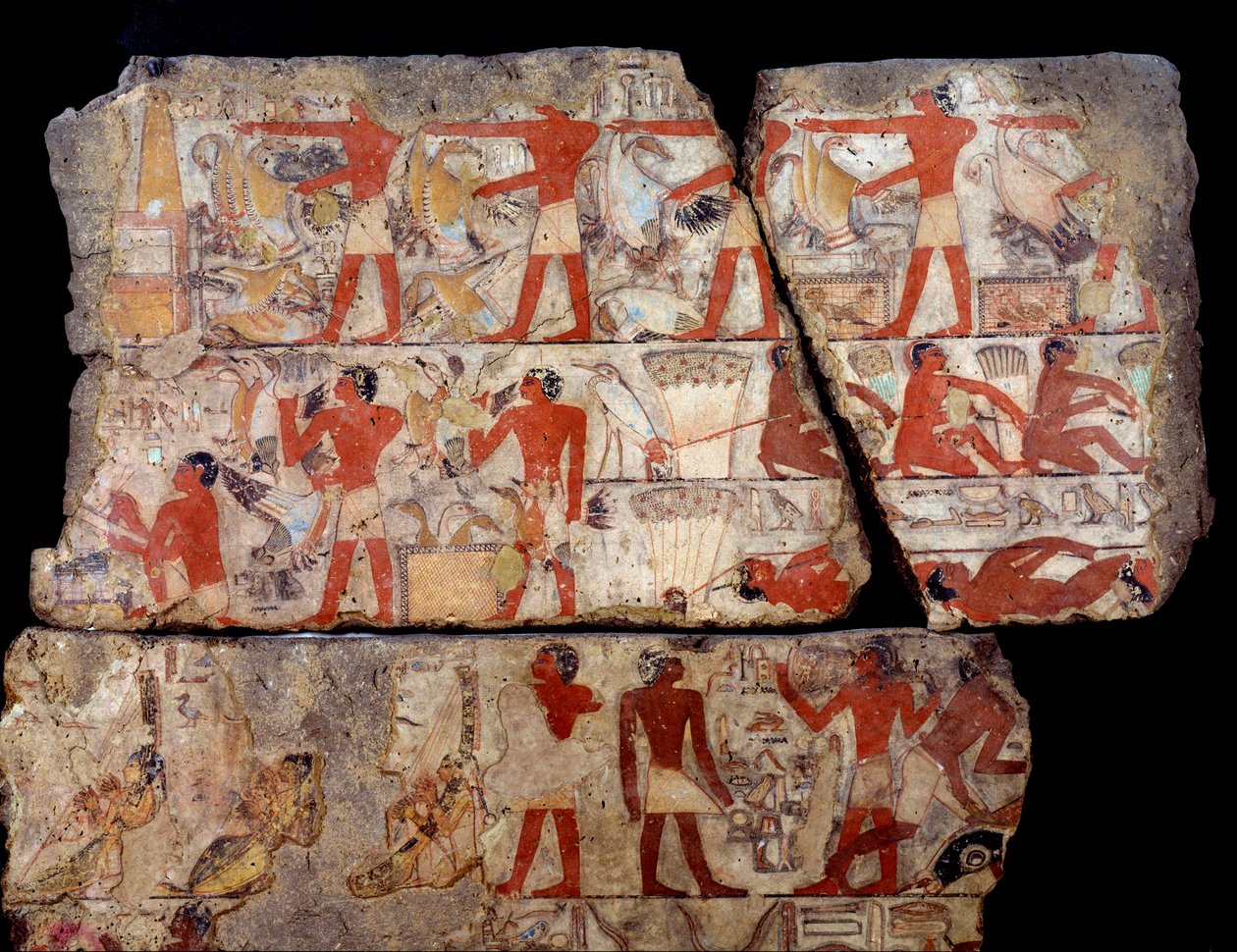 Ägyptische Antike: Malerei der Mastaba von Metchetchi. Szene des täglichen Lebens (Jagd, Fischfang, Opfer) in Ägypten zur Zeit der 6. Dynastie von School Egyptian
