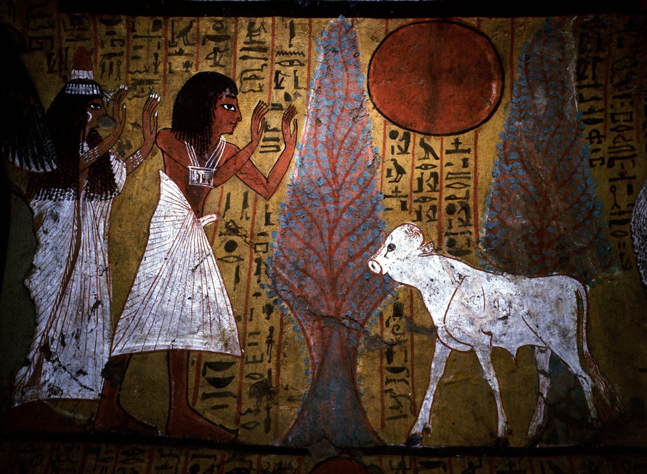 Luxor - Theben: Linkes Ufer des Nils. Website von DEIR EL MEDINEH: Dorf und Nekropole der Handwerker. Detail eines Wandgemäldes eines Grabes, das das Kalb zeigt, noch dünn und mit fragilen Beinen, verkörpert den zukünftigen Apis. 19. Dynastie. von School Egyptian