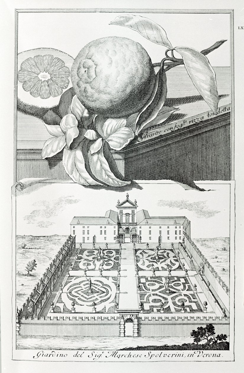 Villa des Marquis Spolverini von Verona, aus "Villen, Gärten und Landschaften in Venedig" von A. Volkamer (Gravur) von School Italian