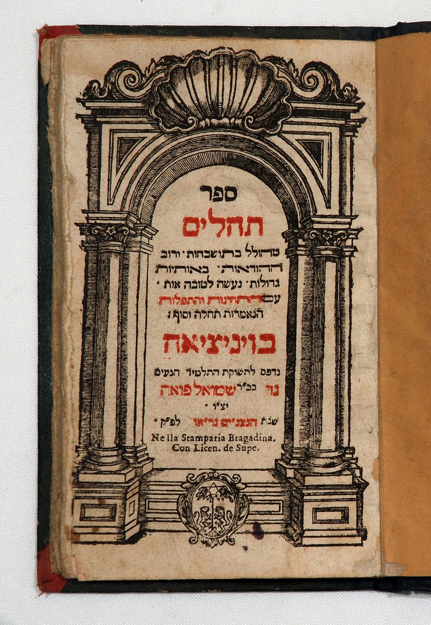 Buch der Tehilim von School Jewish