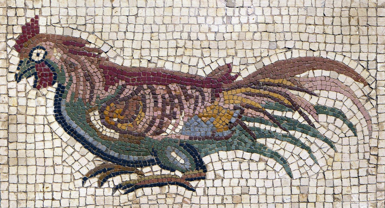 Mehrfarbiger Hahn vom Boden einer römischen Villa in Tunesien (Mosaik) von School Roman