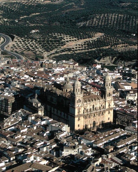 Luftaufnahme der Kathedrale von Jaen von School Spanish