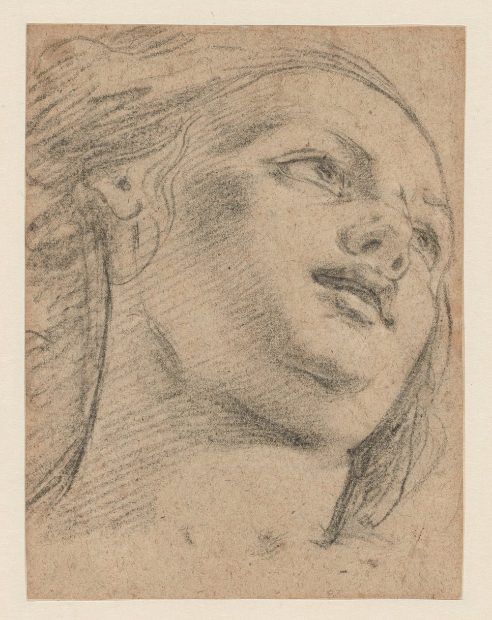 Studie eines weiblichen Kopfes, nach rechts blickend (recto); Studie von zwei Figuren, die einen Gegenstand stützen (verso) von School of Guido Reni