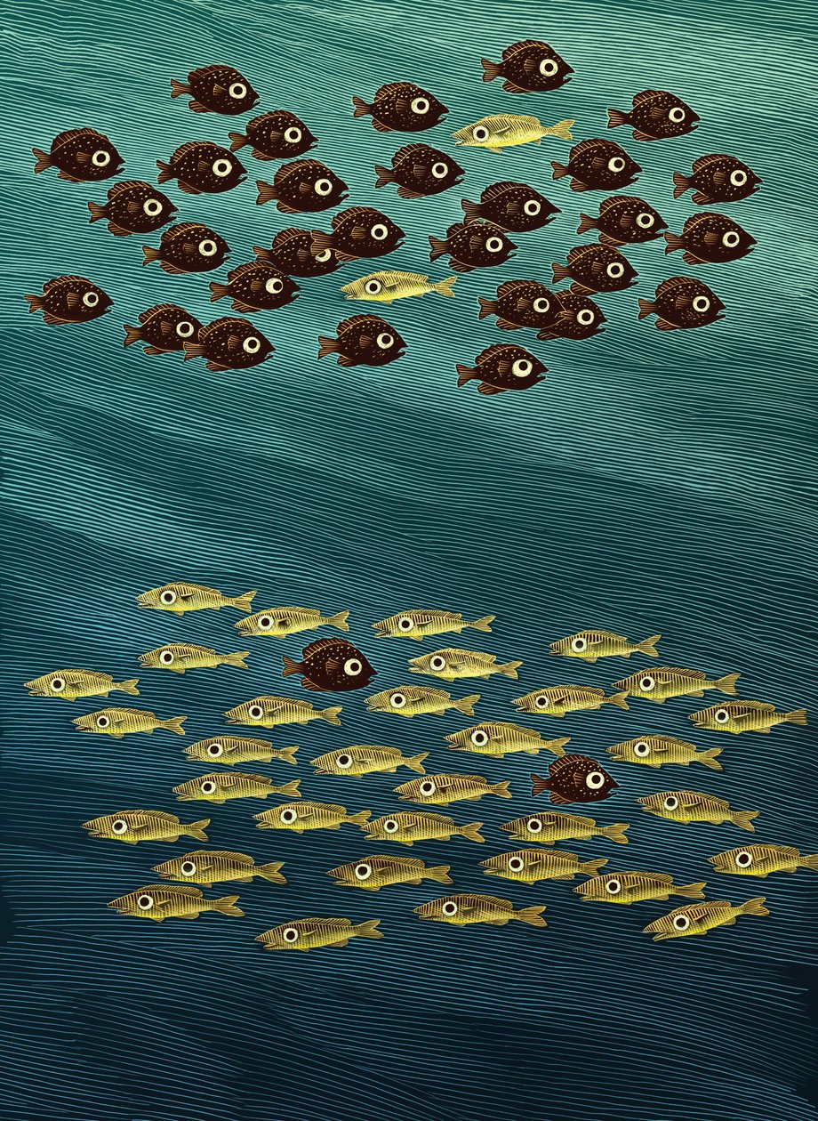 Fisch von Scott McKowen