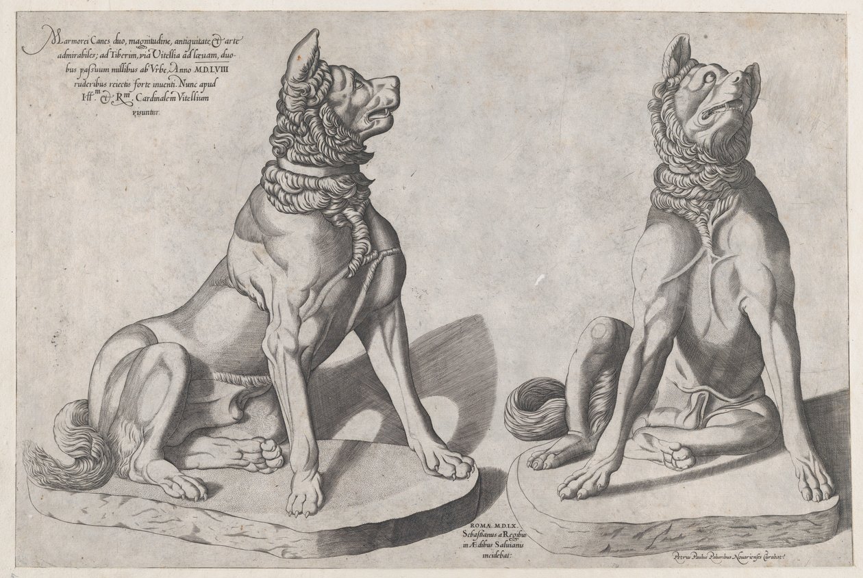 Speculum Romanae Magnificentiae: Zwei Hunde von Sebastiano di Re