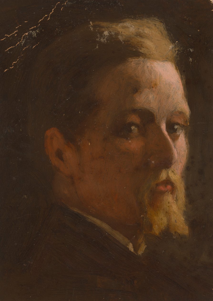 Porträt eines Mannes von Severin Falkman