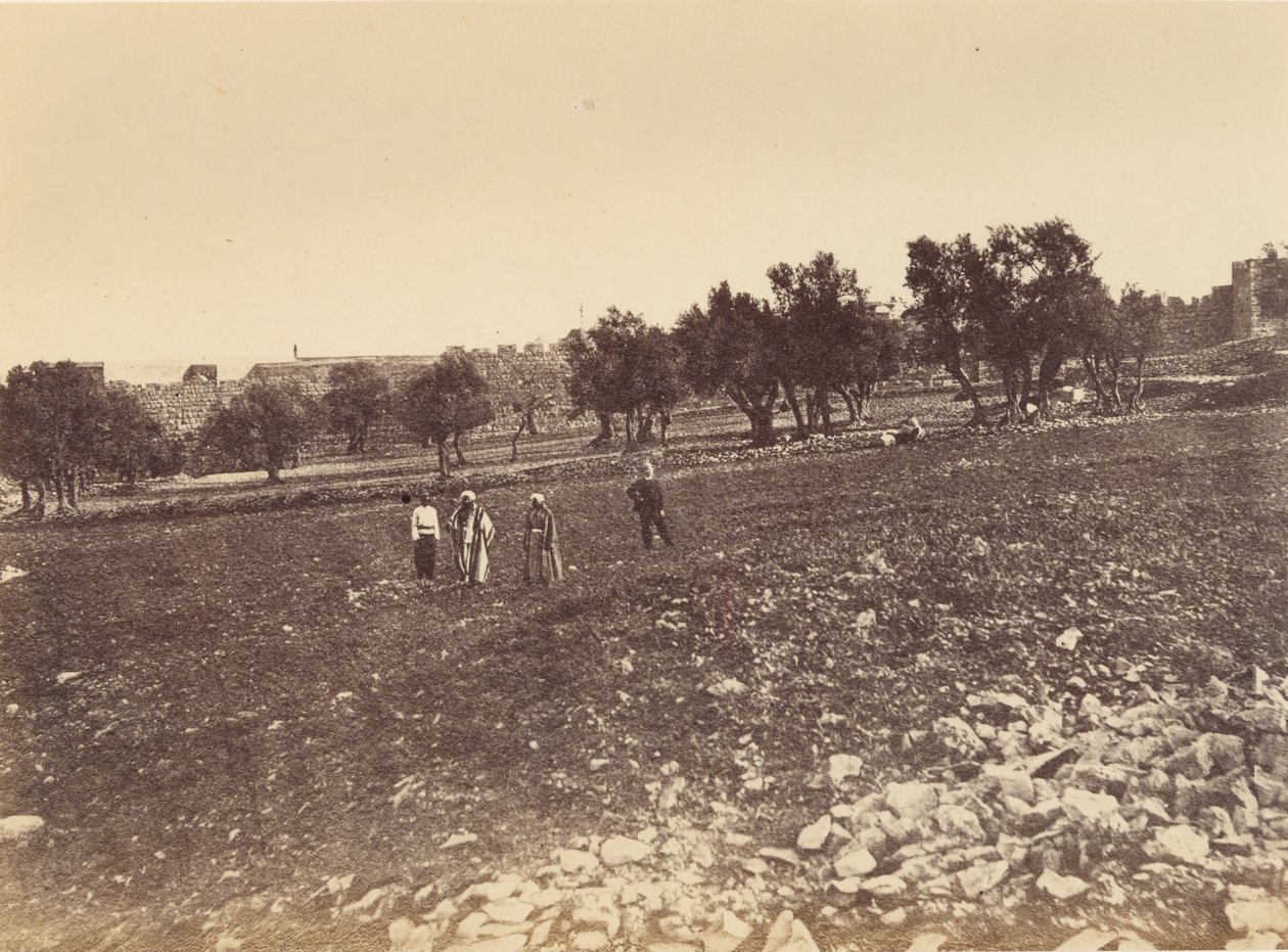 Panoramablick auf die Stadt - Gesamtansicht der Stadt von Norden von Sgt. James M. McDonald