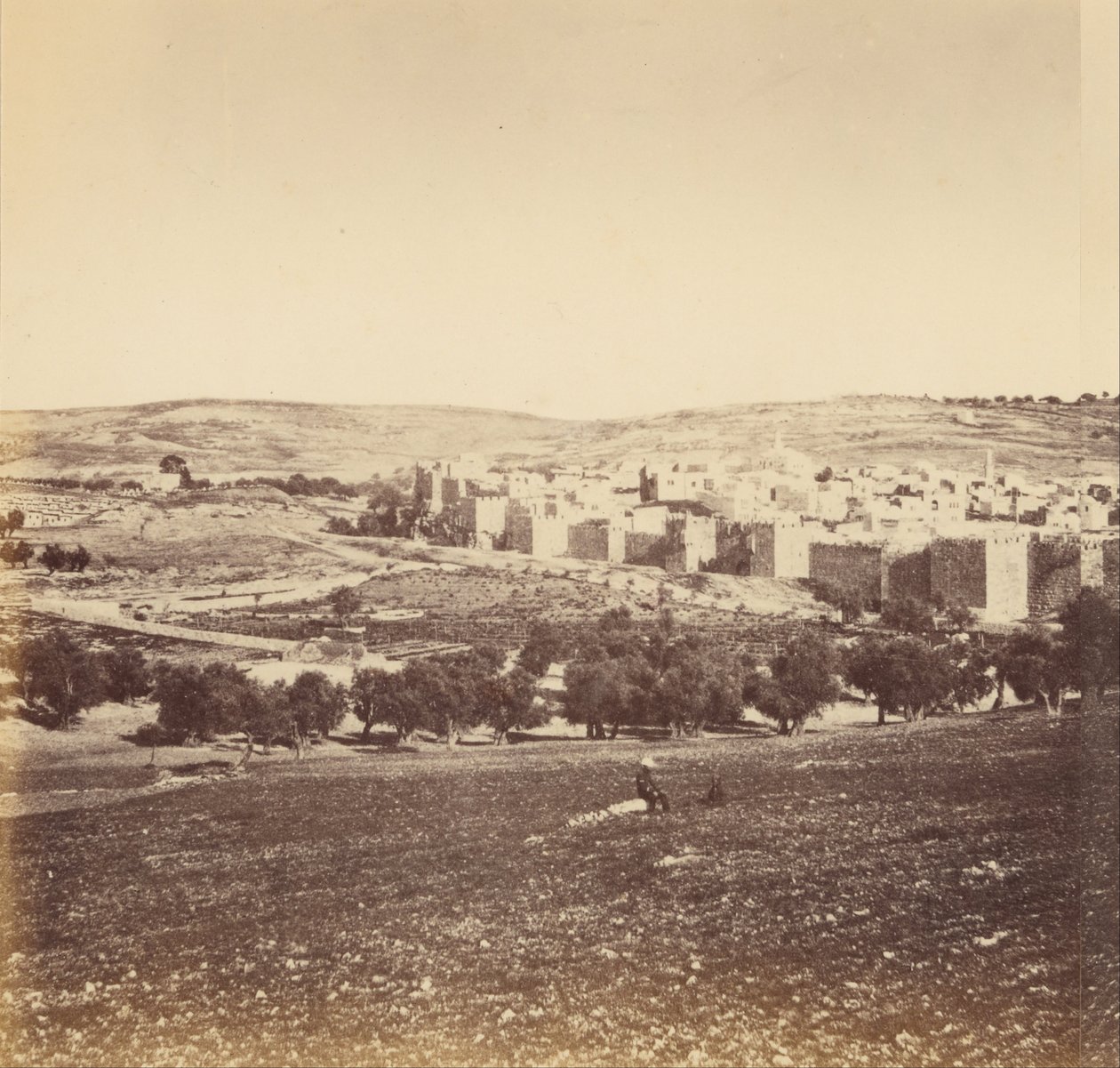 Panoramablick auf die Stadt - Gesamtansicht der Stadt von Norden von Sgt. James M. McDonald