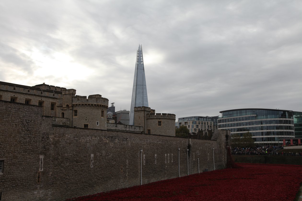 Blood Swept Lands and Seas of Red, Tower of London, 2014 von Sheldon Marshall