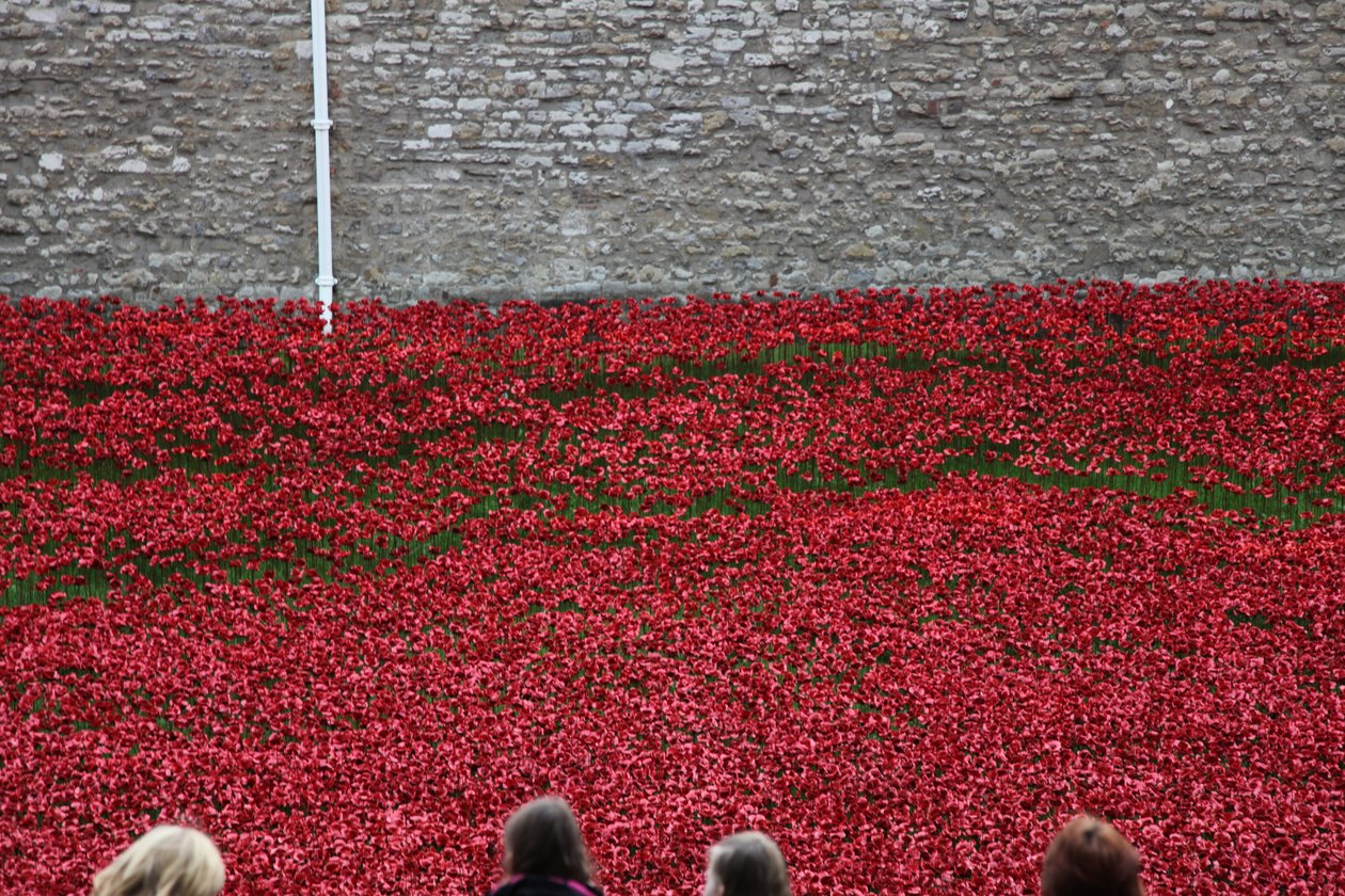 Blood Swept Lands and Seas of Red, Tower of London, 2014 von Sheldon Marshall