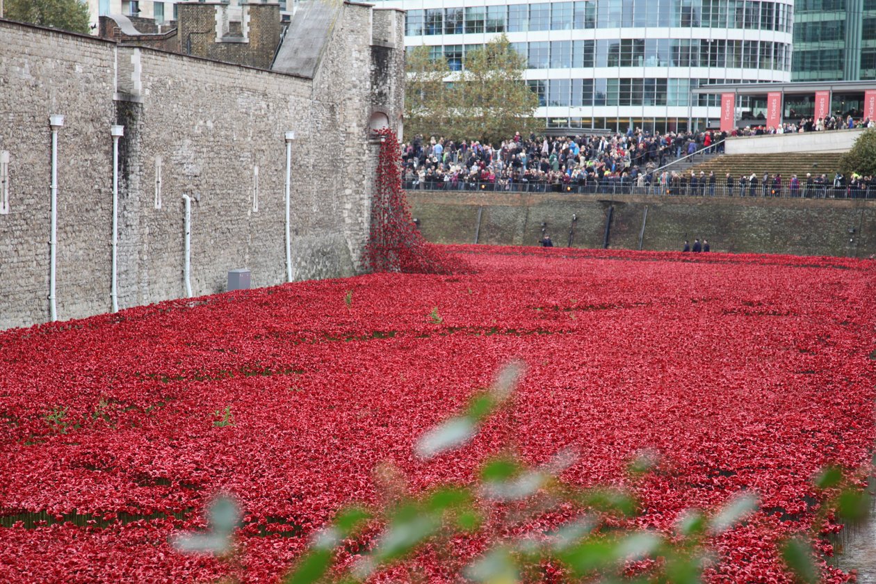 Blutüberströmte Länder und Meere aus Rot, Tower of London, 2014 von Sheldon Marshall
