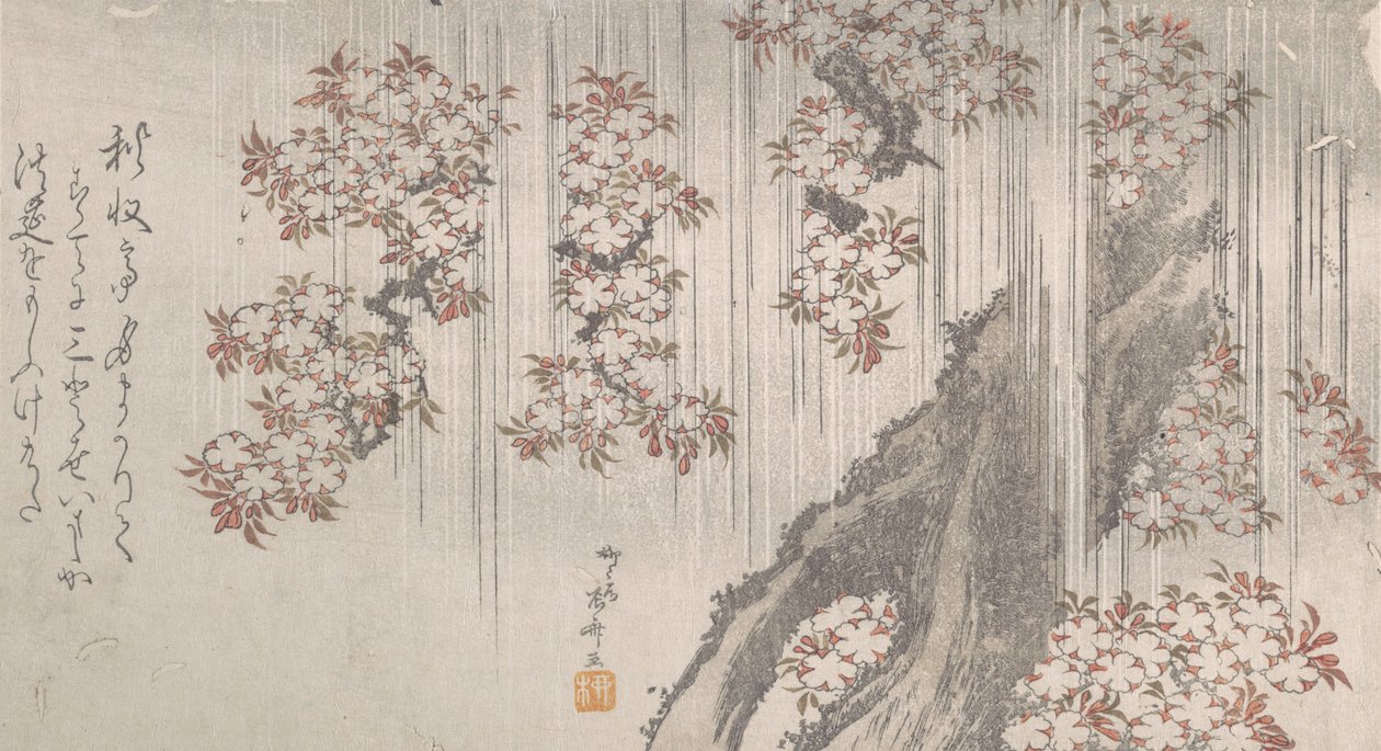 Kirschblüten im Regen, 19. Jahrhundert von Shinsai