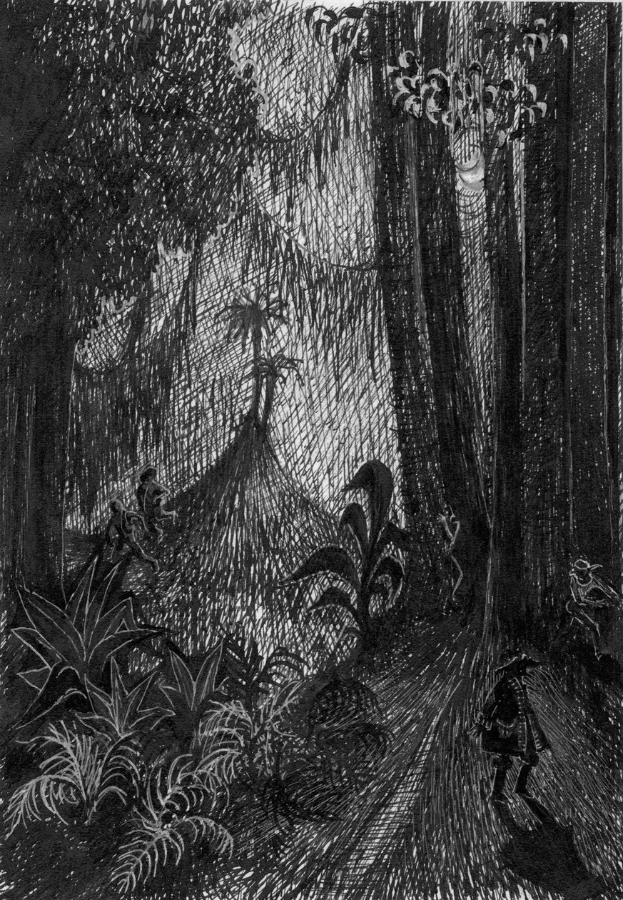 Pirat im Regenwald von Shirley Markham