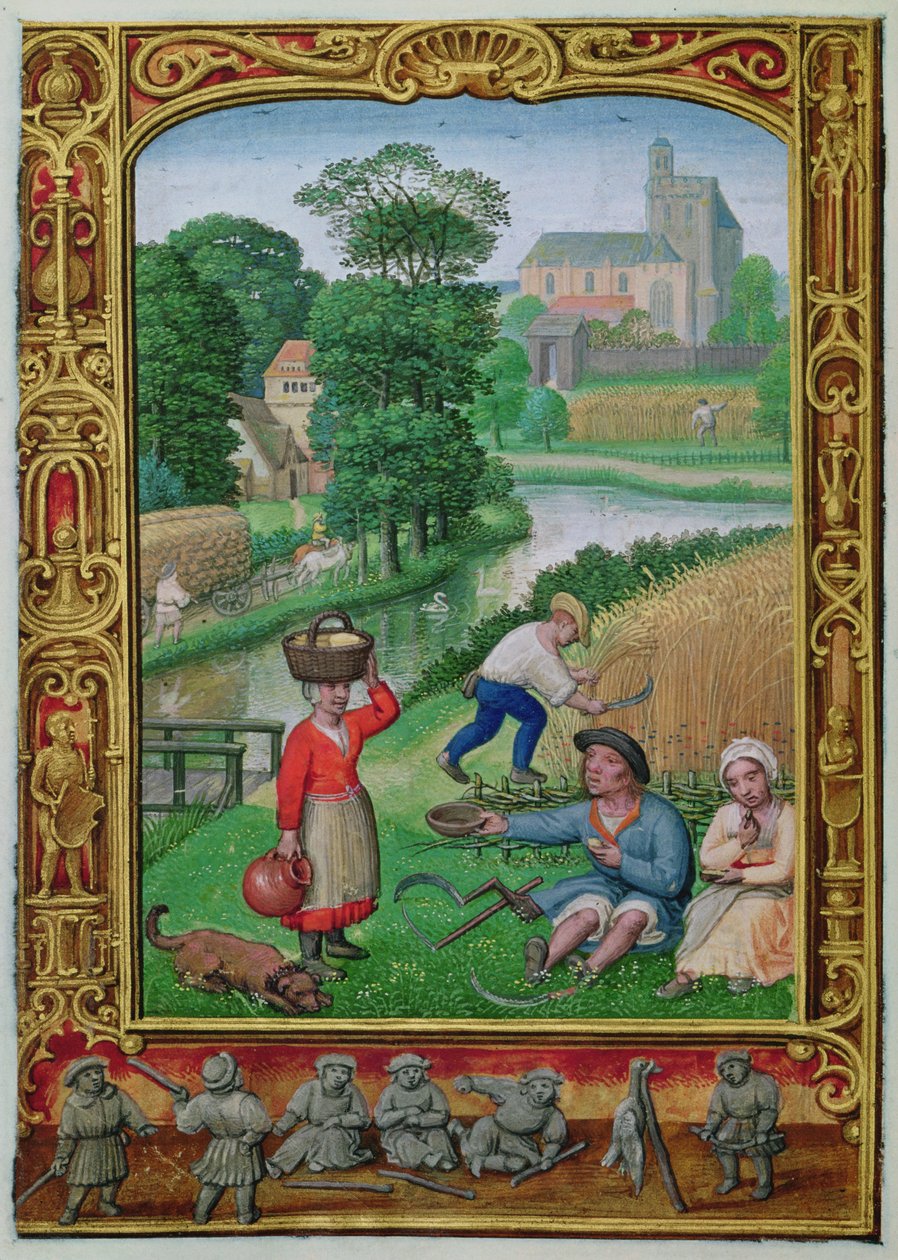 August: Ernte in der Nähe eines Flusses, aus einem Stundenbuch, ca. 1520-30 von Simon (workshop of) Bening