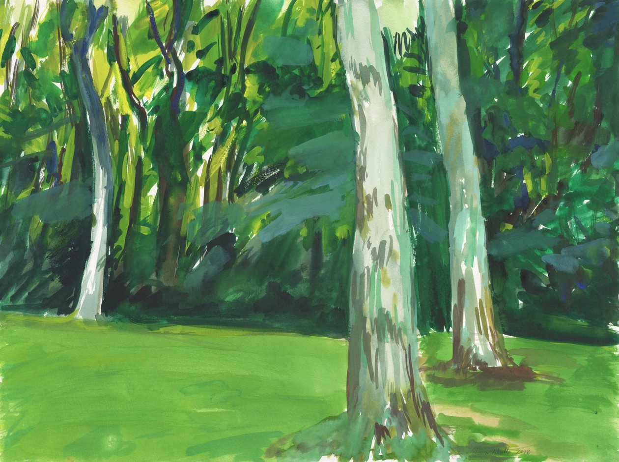 Garten und Feuchtgebiet von Simon Neville