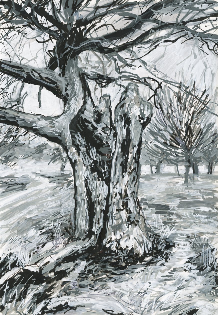 Alter Baum, Richmond Park von Simon Neville