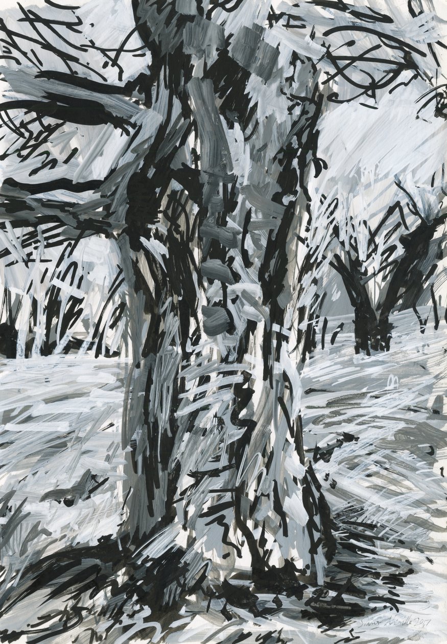 Alter Baum, Richmond Park von Simon Neville