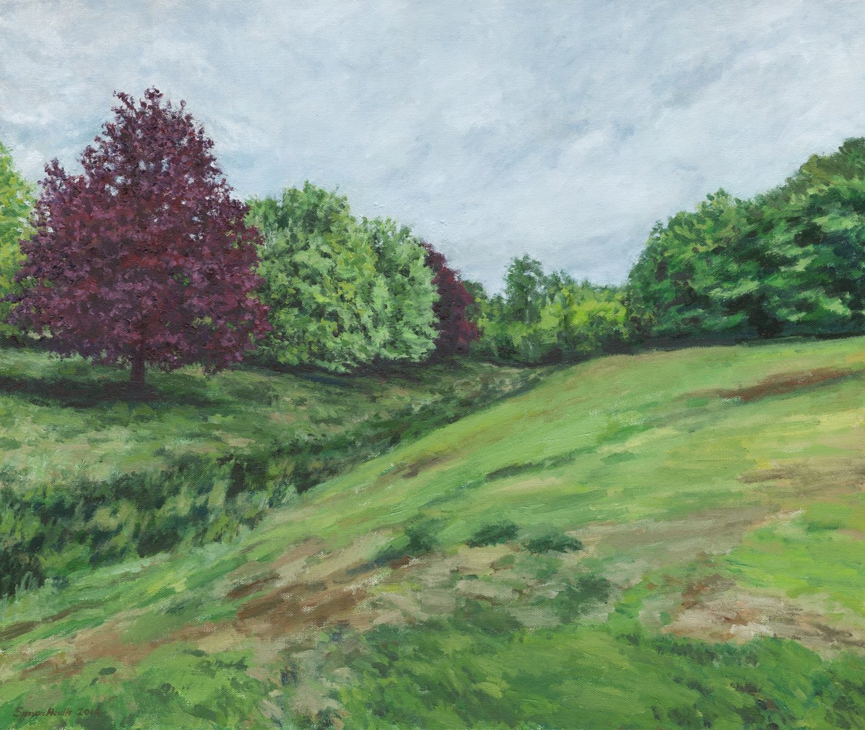 Richmond Park, 2018 von Simon Neville